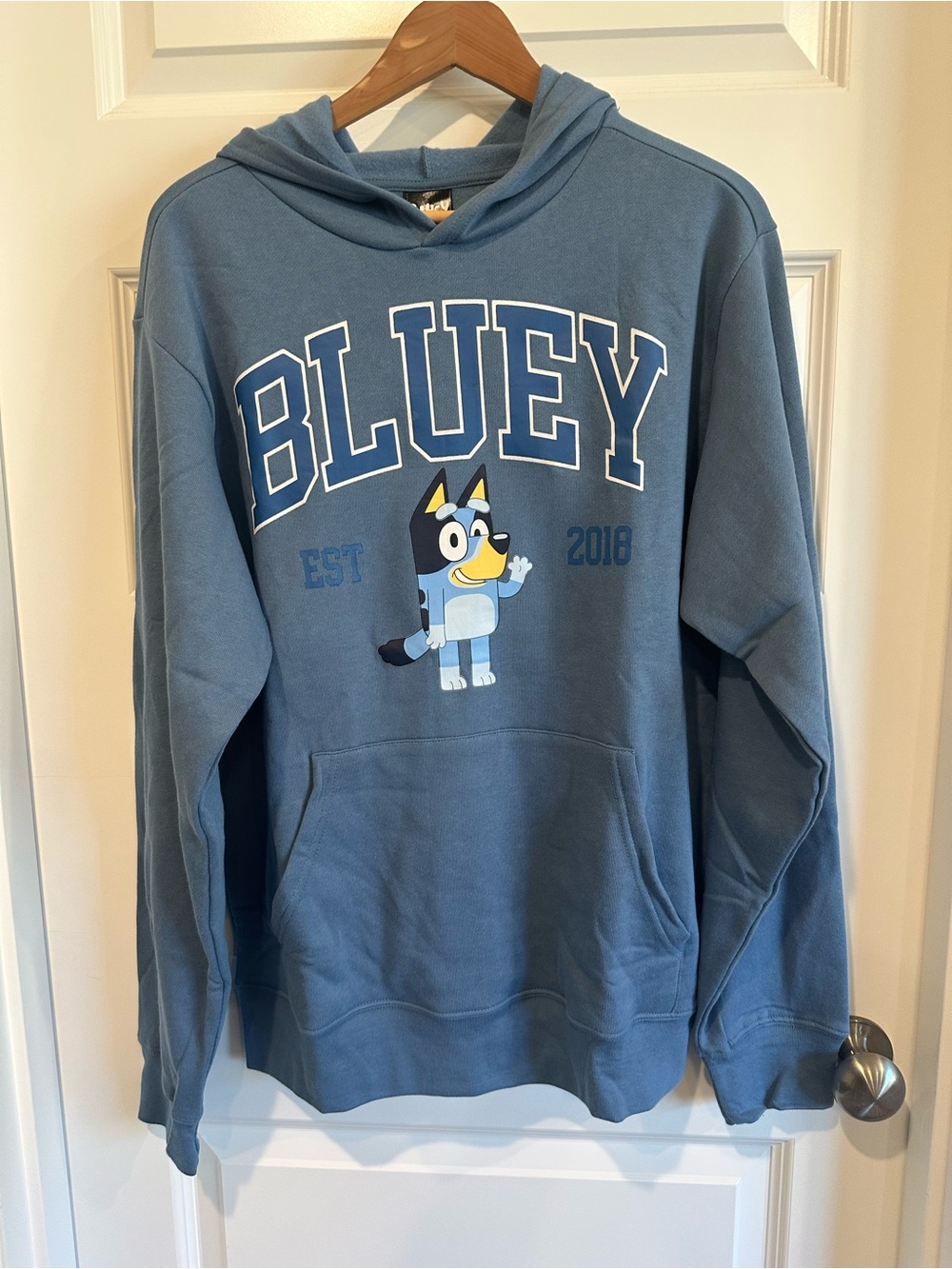 Bluey Graphic Hoodie | Men’s Size Small | EUC